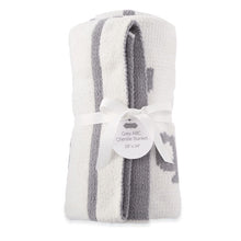 Load image into Gallery viewer, ABC Chenille Blanket
